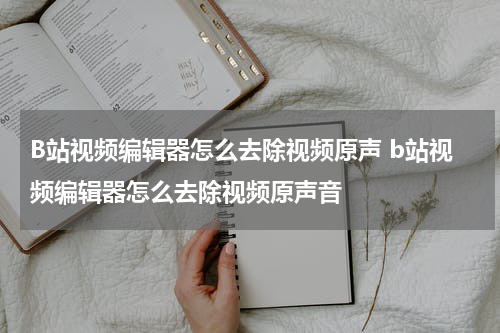 B站视频编辑器怎么去除视频原声 b站视频编辑器怎么去除视频原声音