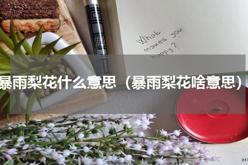 暴雨梨花什么意思（暴雨梨花啥意思）
