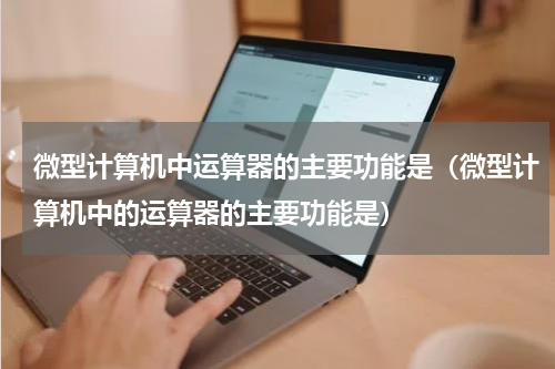 微型计算机中运算器的主要功能是（微型计算机中的运算器的主要功能是）