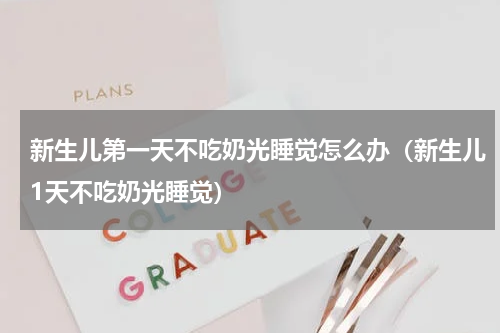 新生儿第一天不吃奶光睡觉怎么办（新生儿1天不吃奶光睡觉）