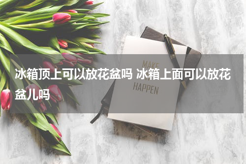 冰箱顶上可以放花盆吗 冰箱上面可以放花盆儿吗