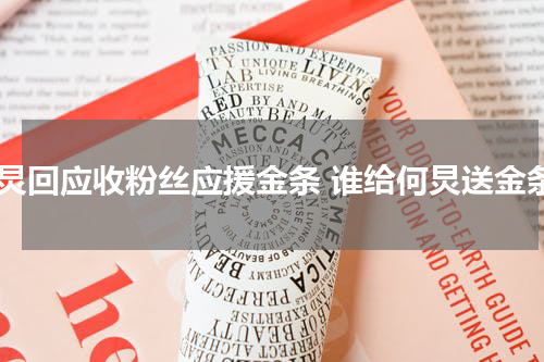 何炅回应收粉丝应援金条 谁给何炅送金条