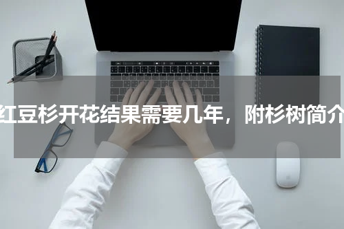 红豆杉开花结果需要几年，附杉树简介