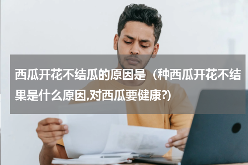 西瓜开花不结瓜的原因是（种西瓜开花不结果是什么原因,对西瓜要健康?）