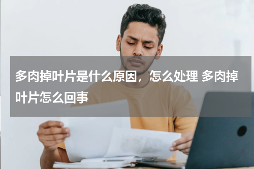 多肉掉叶片是什么原因，怎么处理 多肉掉叶片怎么回事