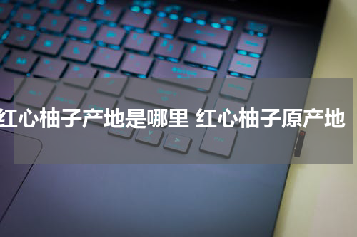 红心柚子产地是哪里 红心柚子原产地