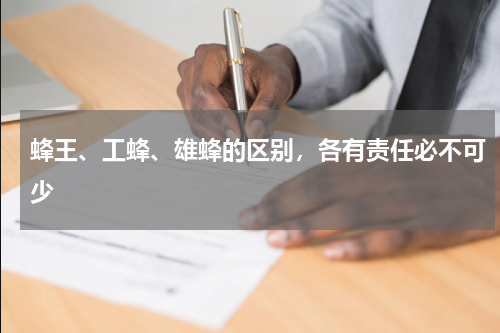 蜂王、工蜂、雄蜂的区别，各有责任必不可少