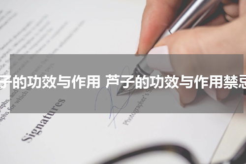 芦子的功效与作用 芦子的功效与作用禁忌