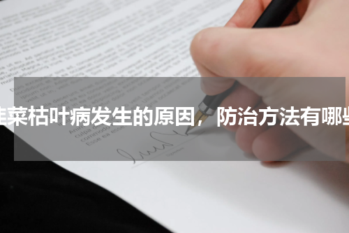 韭菜枯叶病发生的原因，防治方法有哪些