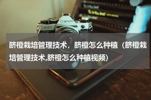 脐橙栽培管理技术，脐橙怎么种植（脐橙栽培管理技术,脐橙怎么种植视频）