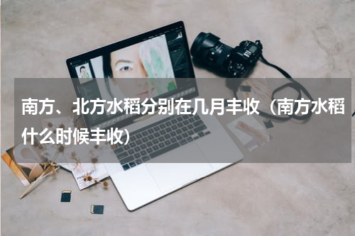 南方、北方水稻分别在几月丰收（南方水稻什么时候丰收）