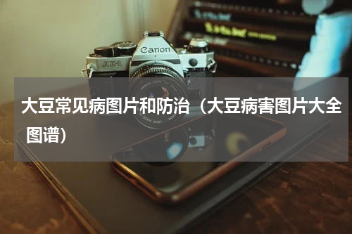 大豆常见病图片和防治（大豆病害图片大全 图谱）
