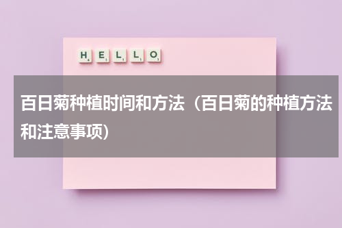 百日菊种植时间和方法（百日菊的种植方法和注意事项）