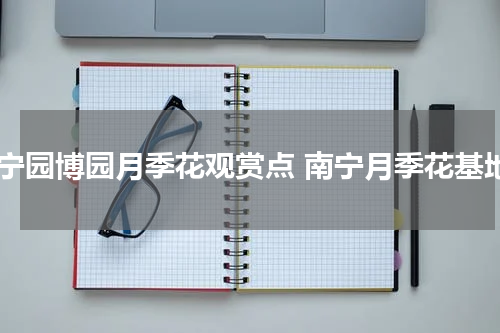 南宁园博园月季花观赏点 南宁月季花基地