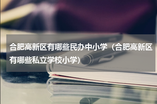 合肥高新区有哪些民办中小学（合肥高新区有哪些私立学校小学）