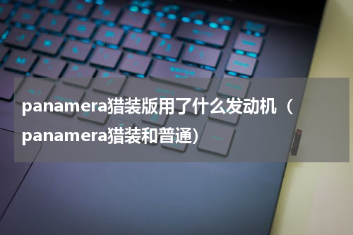 panamera猎装版用了什么发动机（panamera猎装和普通）
