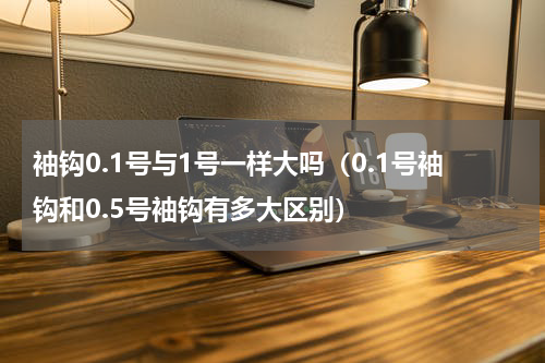 袖钩0.1号与1号一样大吗（0.1号袖钩和0.5号袖钩有多大区别）