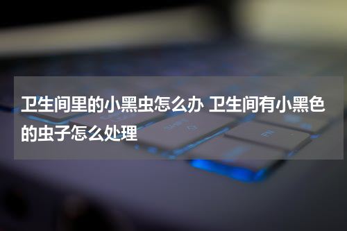 卫生间里的小黑虫怎么办 卫生间有小黑色的虫子怎么处理