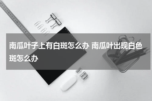 南瓜叶子上有白斑怎么办 南瓜叶出现白色斑怎么办