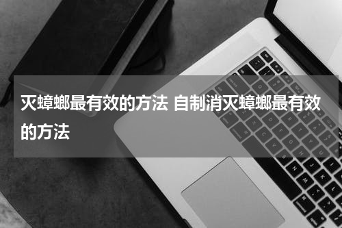 灭蟑螂最有效的方法 自制消灭蟑螂最有效的方法