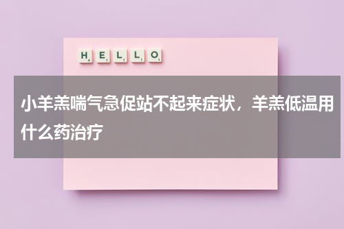 小羊羔喘气急促站不起来症状，羊羔低温用什么药治疗