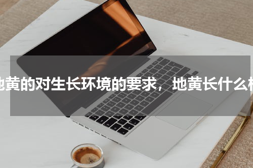 地黄的对生长环境的要求，地黄长什么样