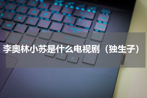 李奥林小苏是什么电视剧（独生子）