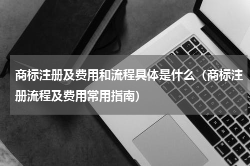 商标注册及费用和流程具体是什么（商标注册流程及费用常用指南）