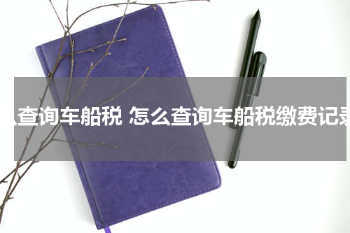 怎么查询车船税 怎么查询车船税缴费记录
