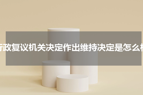 行政复议机关决定作出维持决定是怎么样