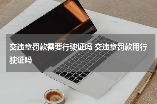 交违章罚款需要行驶证吗 交违章罚款用行驶证吗