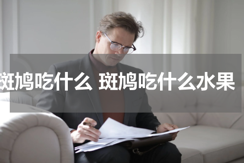 斑鸠吃什么 斑鸠吃什么水果