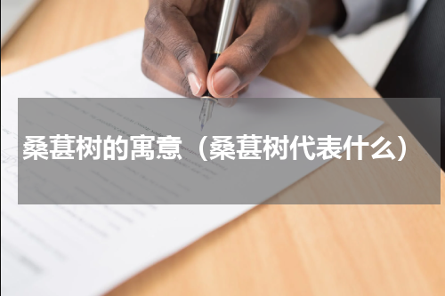 桑葚树的寓意（桑葚树代表什么）