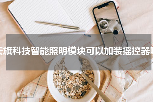 天旗科技智能照明模块可以加装摇控器吗