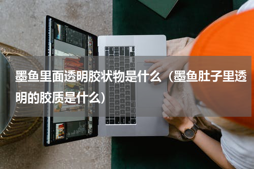 墨鱼里面透明胶状物是什么（墨鱼肚子里透明的胶质是什么）