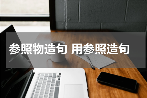 参照物造句 用参照造句