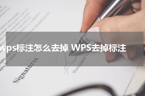 wps标注怎么去掉 WPS去掉标注