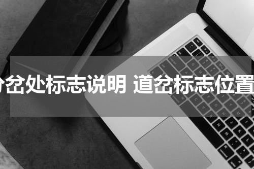分岔处标志说明 道岔标志位置