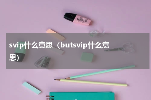 svip什么意思（butsvip什么意思）