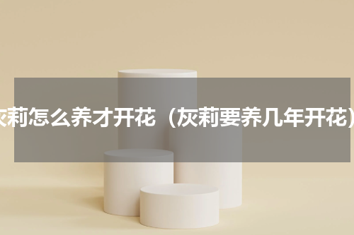 灰莉怎么养才开花（灰莉要养几年开花）