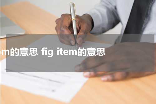 item的意思 fig item的意思