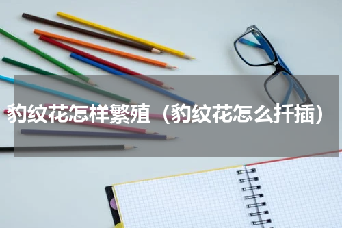 豹纹花怎样繁殖（豹纹花怎么扦插）