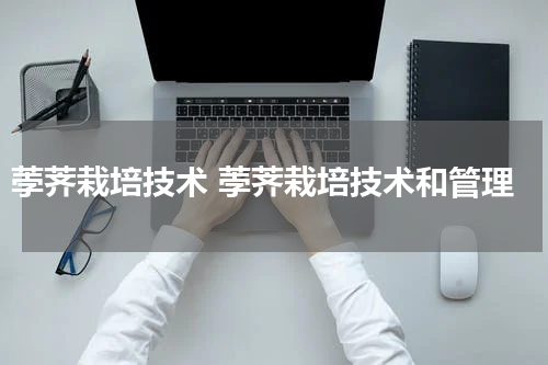 荸荠栽培技术 荸荠栽培技术和管理