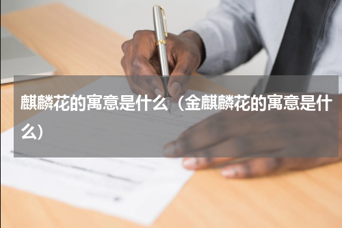 麒麟花的寓意是什么（金麒麟花的寓意是什么）