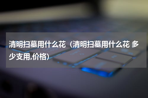 清明扫墓用什么花（清明扫墓用什么花 多少支用,价格）