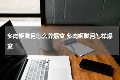 多肉姬胧月怎么养爆盆 多肉姬胧月怎样爆盆