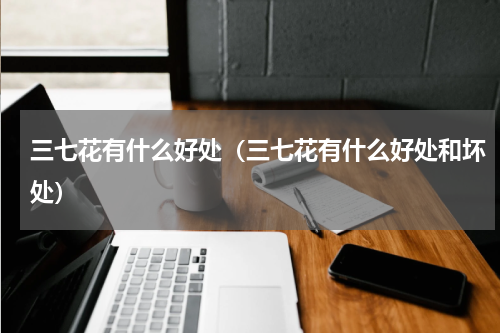 三七花有什么好处（三七花有什么好处和坏处）