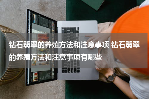 钻石翡翠的养殖方法和注意事项 钻石翡翠的养殖方法和注意事项有哪些