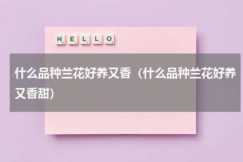什么品种兰花好养又香（什么品种兰花好养又香甜）