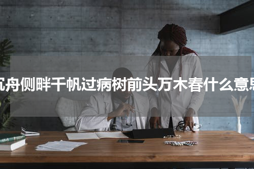 沉舟侧畔千帆过病树前头万木春什么意思